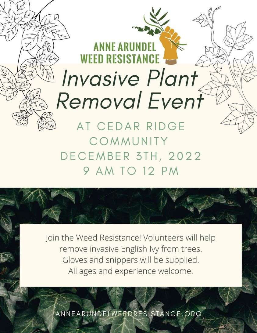 Anne Arundel Weed Resistance Invasive Plant Removal Event